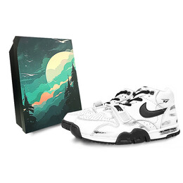 Кроссовки Nike Air Trainer 1 для мужчин, White fb8066-100(team76-男款纸飞机s-box) | white