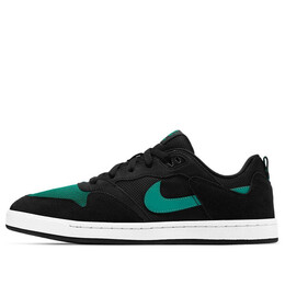 Кроссовки sb скейтборд alleyoop Nike, черный cj0882-007 | black/green