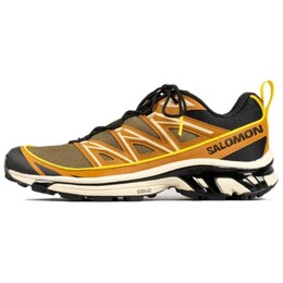 Кроссовки мужские XT-6 Expanse Cathay Spice Salomon, коричневый l47134000 | brown