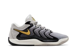 Кроссовки Nike KD 17 Light Iron Ore Metallic Gold, серый fj9487 003 | light iron ore metallic gold