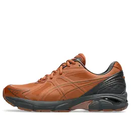 Кроссовки Asics GT-2160 NS 'Rusty Brown', коричневый 1203a375-200 | rusty brown/graphite grey