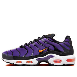 Кроссовки Nike Air Max Plus OG 'Voltage Purple' 2024, фиолетовый dx0755-500 | voltage purple/total orange/purple agate
