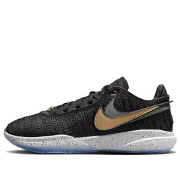 Кроссовки Nike LeBron 20 'Fab 5', черный dj5423-003 | black/gold/silver/white/blue