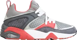 Кроссовки Puma Staple x Blaze of Glory OG Pigeon, серый 361616 01 | grey