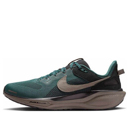 Кроссовки air zoom pegasus 41 'faded spruce' Nike, мультиколор hq6025-300 | faded spruce/olive/grey