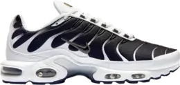 Кроссовки Nike Air Max Plus 'Black White', черный ct1094 102 | black