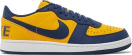 Nike Кроссовки Terminator Low 'Michigan', синий fj4206 700 | blue