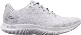 Кроссовки Under Armour Flow Velociti Wind 2 White Halo Grey, белый 3024903 100 | white