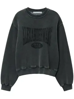Alexander Wang: Свитшот с принтом 