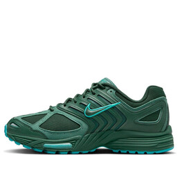 Кроссовки air pegasus 2k5 'fir bicoastal' Nike, мультиколор fz7354-300 | fir/bicoastal/dusty cactus/fir