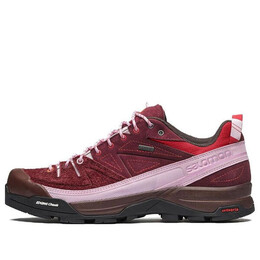 Кроссовки x the broken arm x-alpages gtx tba 'red pink' 473461 Salomon, красный 473461 / l47346100 | red/pink/black