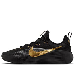 Кроссовки lebron tr 1 'black metallic gold' Nike, черный fj6151-004 | black/metallic gold