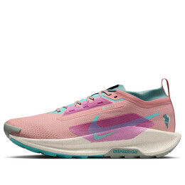 Кроссовки pegasus trail 5 gore-tex 'red stardust bicoastal' Nike, красный fq0908-600 | red stardust/bicoastal/vivid grape/green frost