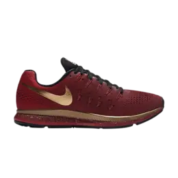 Кроссовки Nike Air Zoom Pegasus 33 LE 'Michael Johnson', разноцветный 880105 907 | multi-color