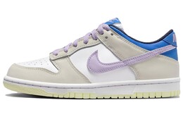 Мужские кроссовки для скейтбординга Nike Dunk, White rice purple fb9109-103 | white rice purple