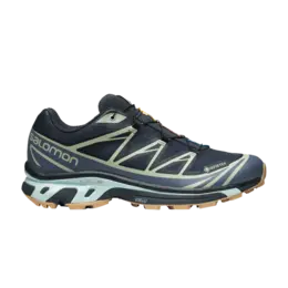 Кроссовки Salomon XT-6 GORE-TEX 'Carbon Desert Sage', серый l47291800 | grey