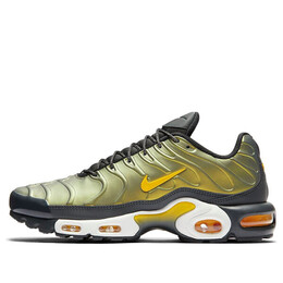 Кроссовки air max plus 'liquid metal anthracite' Nike, мультиколор aj2013-005 | anthracite/amarillo/summit white
