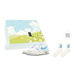 Баскетбольные кроссовки Legacy 312 Vintage Men Low-Go White/Blue Jordan hj9199-111(team47-312鱼骨气泡解box) | white