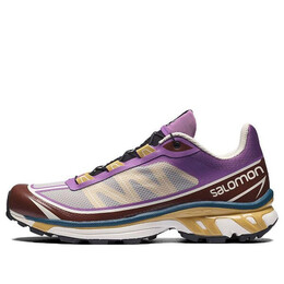 Кроссовки xt-6 ft 'grey purple brown' 414706 Salomon, фиолетовый 414706 / l41470600 | purple