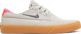 Кроссовки Nike Shane T SB 'Rawdacious - Summit White', белый cu9224 101 | white