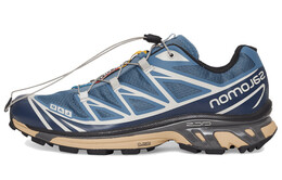 Мужские кроссовки Salomon XT-6 413949