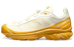 Кроссовки Salomon XT-6 FT Vanilla Buckskin Ice Hazelnut 471514