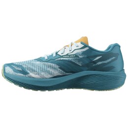 Кроссовки мужские низкие синие Salomon 471292 | blue