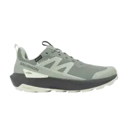 Salomon Кроссовки Elixir Activ GORE-TEX 'Sedona Sage', зеленый l47757800 | sedona sage