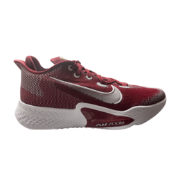 Nike Кроссовки Air Zoom BB NXT TB 'Team Red', красный ck5879 601 | team red
