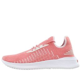 Беговые кроссовки Puma Avid Evoknit Low Top Pink, розовый 365392-06 | pink