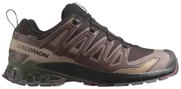 Кроссовки Salomon XA Pro 3D V9 GORE-TEX 'Rum Raisin', фиолетовый l47583500 | purple