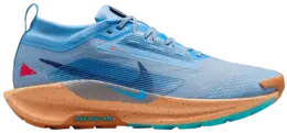 Кроссовки Nike Pegasus Trail 5 GORE-TEX 'Blue Beyond Copper Moon', синий fq0908 400 | blue