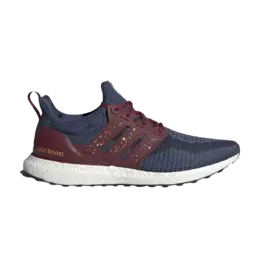 Кроссовки Adidas UltraBoost 2.0 DNA 'City Pack - Manila', синий fz4861 | cloud white/collegiate burgundy/cloud white