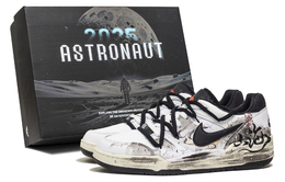 Nike Кроссовки для скейтбординга Full Force, низкие, мужские, белые/черные fb1362-101(team256-山海sbox) | black white