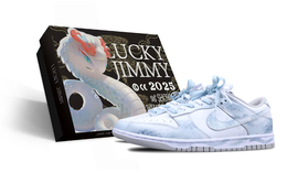 Nike Кроссовки для скейтбординга Dunk Slip с низким верхом, мужские, белые, синие dd1391-103(team51-巳巳生生sbox) | white blue