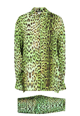 Roberto Cavalli: Зелёный костюм 