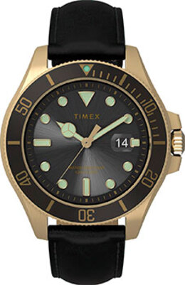 мужские часы Timex TW2V42200. Коллекция Harborside Coast w239112