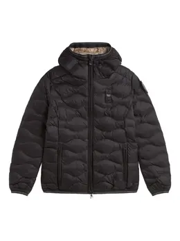 Blauer: Стёганые куртка 