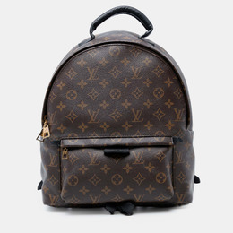 Louis Vuitton Brown Monogram Palm Springs Backpack MM 1241265