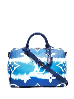 Louis Vuitton 2020 Speedy 30 tote bag 32020531