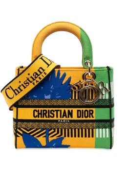 Christian Dior 2022 Medium Canvas Embroidered Flower Pop Lady D Lite satchel 32585288