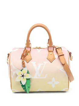 Louis Vuitton 2021 Speedy Bandouliere 25 Monogram Giant tote bag 32314599