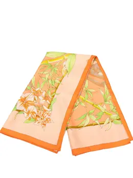 Hermès Pre-Owned: Шарф с принтом 