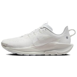 Кроссовки Nike Pegasus Trail 5 'Summit White Sail', белый dv3864-101 | sail white