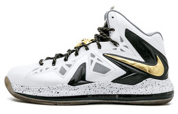 Мужские баскетбольные кроссовки Nike Lebron 10 Elite 579834-100