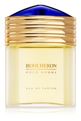Парфюмерная вода Boucheron Pour Homme, 100 мл bchprhm_aedp10 | 100 мл