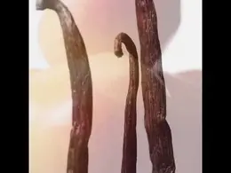 Туалетная вода для женщин Euphoria Calvin Klein, 100 ml 1699463 | 100ml