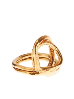 Alighieri: Кольцо 