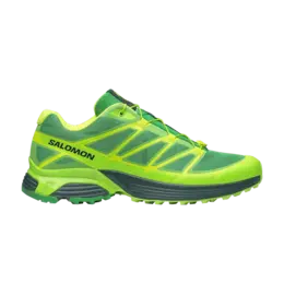 Кроссовки Feid x Salomon XT-Pathway 2, FXXOMOR l49120300 | green