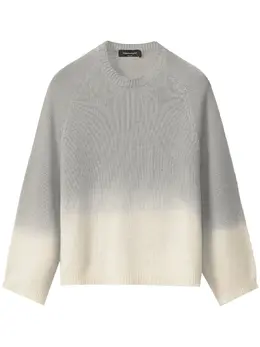 Fabiana Filippi: Свитер с длинным рукавом 